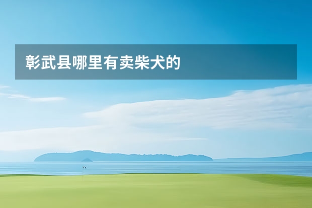 彰武县哪里有卖柴犬的