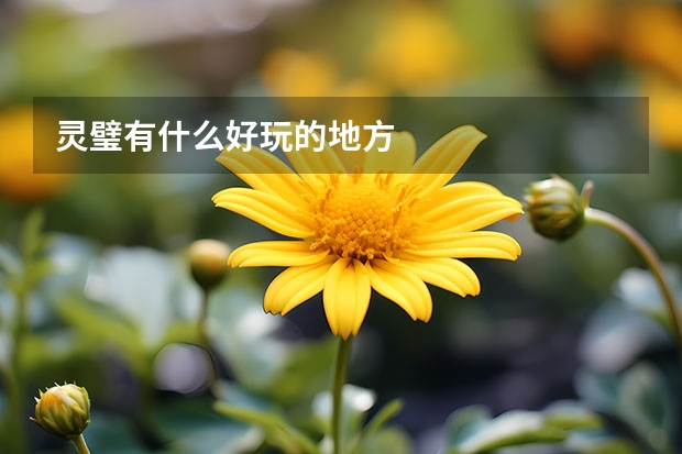 灵璧有什么好玩的地方