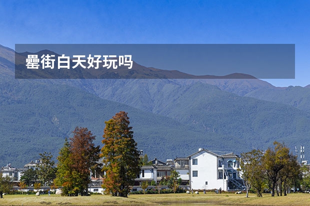 罍街白天好玩吗